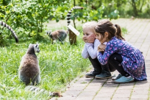 Ostrava Zoo